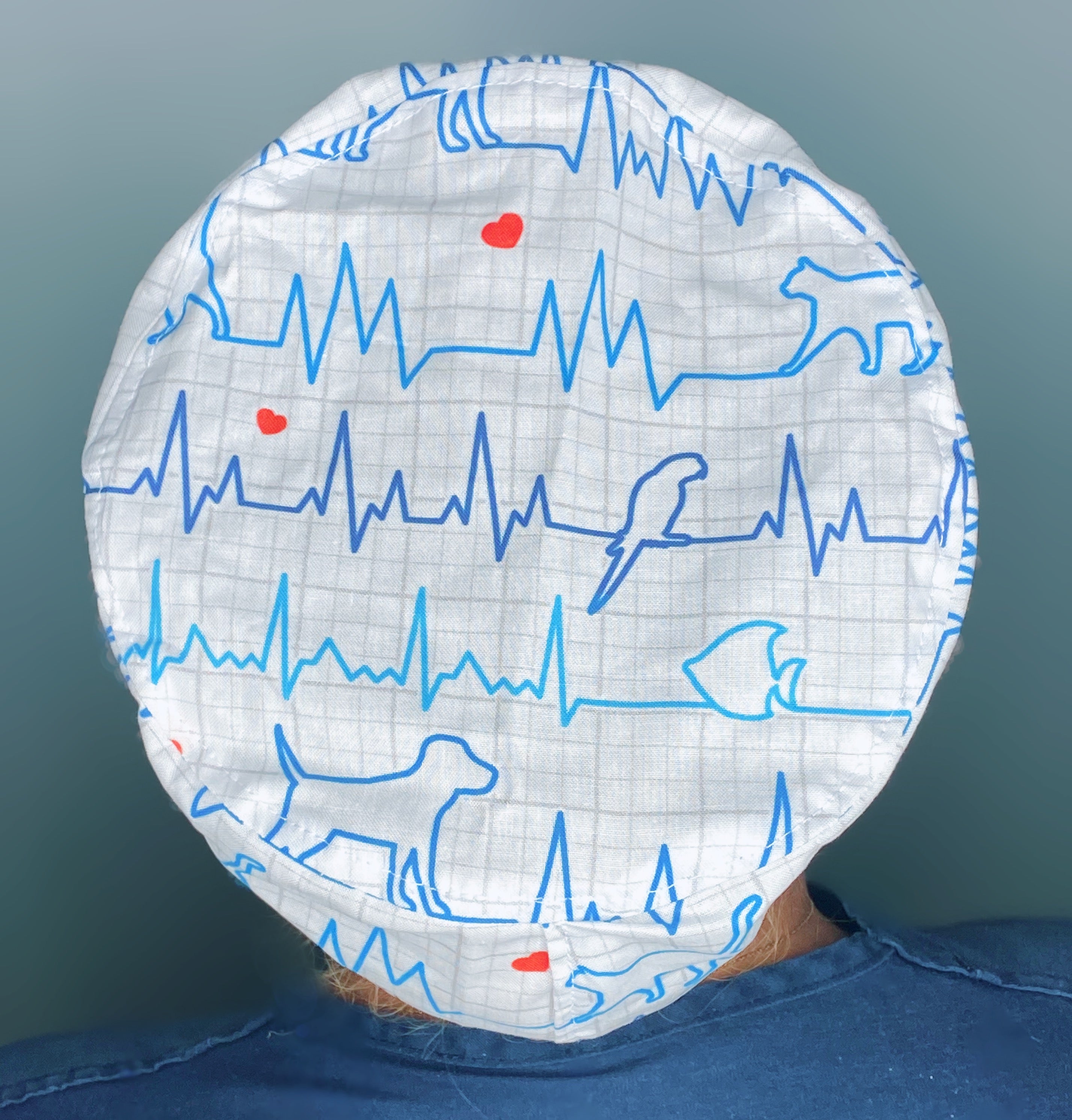Animals EKG Medical Veterinarian Design Euro