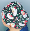 Santa Claus & Candy Canes Winter/Christmas Euro