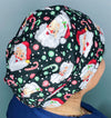 Santa Claus & Candy Canes Winter/Christmas Euro