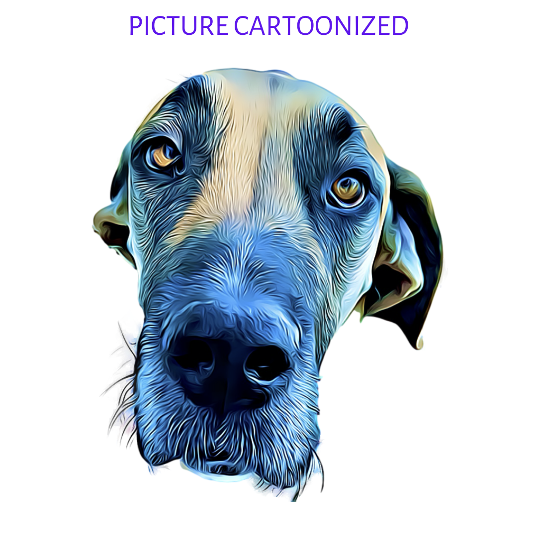 Your Picture Animated Printed on Custom Solid Color Bouffant