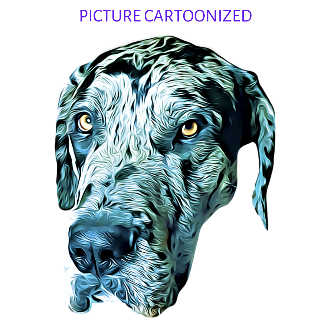 Your Picture Animated Printed ALL OVER on Custom Solid Color Euro